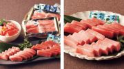 近大マグロお刺身･丼の具セット（左）、近大マグロお刺身（右）.png