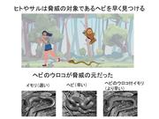画像1.jpg
