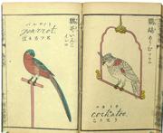 絵入英語箋　鳥之部　リリース画像.JPG
