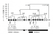 図2　ウォード法による19サンプルのカヤに関するデンドログラム ○数字はヒダリマキガヤを、□数字はその他のカヤを示す。.png