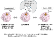20241121_press-06.png