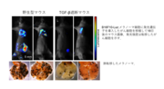 20241205-press_03.png