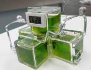 光合成燃料電池.png