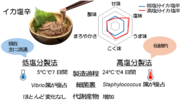 概要図.png