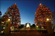 クリスマスイルミネーションが点灯した新座キャンパス.jpg