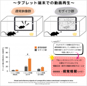 pr241218.png
