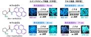 図1.分子1および分子2のエナンチオピュア結晶とラセミ結晶による対照的なMCL.png