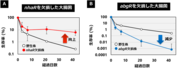 画像4.png