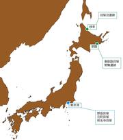 【日本大学】先史時代にイルカ個体群が交代 日大がDNA解析等で解明2.jpg