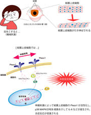 画像1.jpg