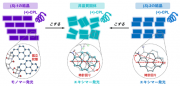 図2.S体の分子1および分子2の結晶状態と非晶質固体のCPL.png