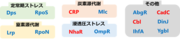 画像5.png