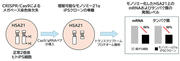 toyaku-press_20250115-1.jpg