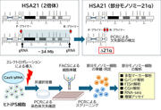 toyaku-press_20250115-2.jpg