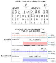 toyaku-press_20250115-4.jpg