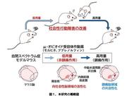 大阪大学図1.jpg