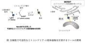 20250214release_fig1.jpg