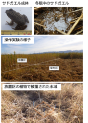 250205press_img.png