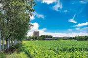 酪農学園大学