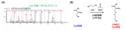 図1.png