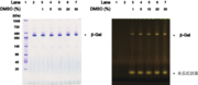 図3.png