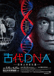 古代DNA展チラシ.jpg