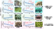 【図１】底質リン（EPS μgg）とサンゴ成体の属別群体数の関係を示したもの.png