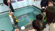 IMG_6655.jpeg