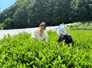 採用IMG_2036.jpeg