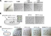 図1　マウス着床前胚に対するガラス器具の影響.jpg