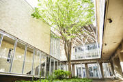 新座３号館中庭.jpg