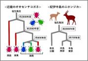 画像1.jpg