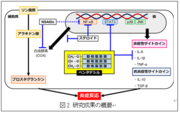 図２.png