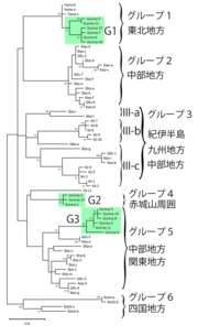 fi_zs240006_002_jpn.png