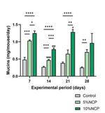 【中部大学】食用サボテンの腸内環境改善と免疫機能向上を確認ーボテンの健康食品への需要拡大に期待－