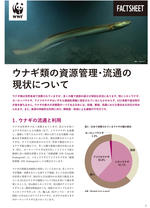 WWFジャパンと中央大学、ウナギの取引と流通の最新動向をまとめたファクトシートを共同発表　　アメリカウナギの取引が世界的に急増、国内蒲焼のウナギ種別調査でも4割を占める