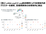 【図２】scRNA-seqとST-seq統合解析により糸球体内皮クラスターを健常、患者両検体の糸球体に検出.png