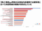 【図３】軽症IgA腎症患者の糸球体内皮細胞では健常者と比べて炎症関連の経路が活性化していた.png