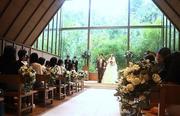 pastbridalOC_2_w480px.jpg