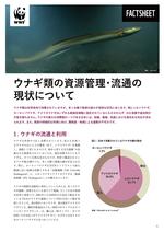 WWFジャパンと中央大学、ウナギの取引と流通の最新動向をまとめたファクトシートを共同発表　　アメリカウナギの取引が世界的に急増、国内蒲焼のウナギ種別調査でも4割を占める