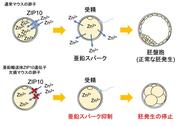 pr250620_aen.jpg
