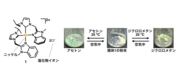 20250722_r_press_02.png
