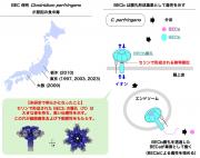 図-修正.jpg