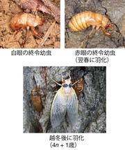 0828昭和医科大学1.jpg