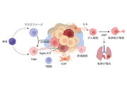 （差し替え）図 PNAS Fig.5.jpg