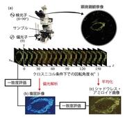 研究の方法.jpg
