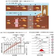 0828昭和医科大学2.jpg