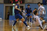 5HB_4817-600.jpg