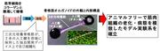 研究の参考イメージ.jpg