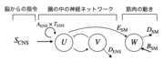 図1：数理モデルの構成.png